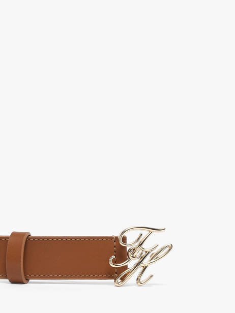 Ceinture Tommy hilfiger Marron belt AW18568 vue secondaire 2