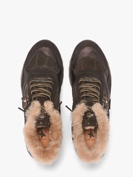 Sneakers Cetti Marron accessoires SRA vue secondaire 3